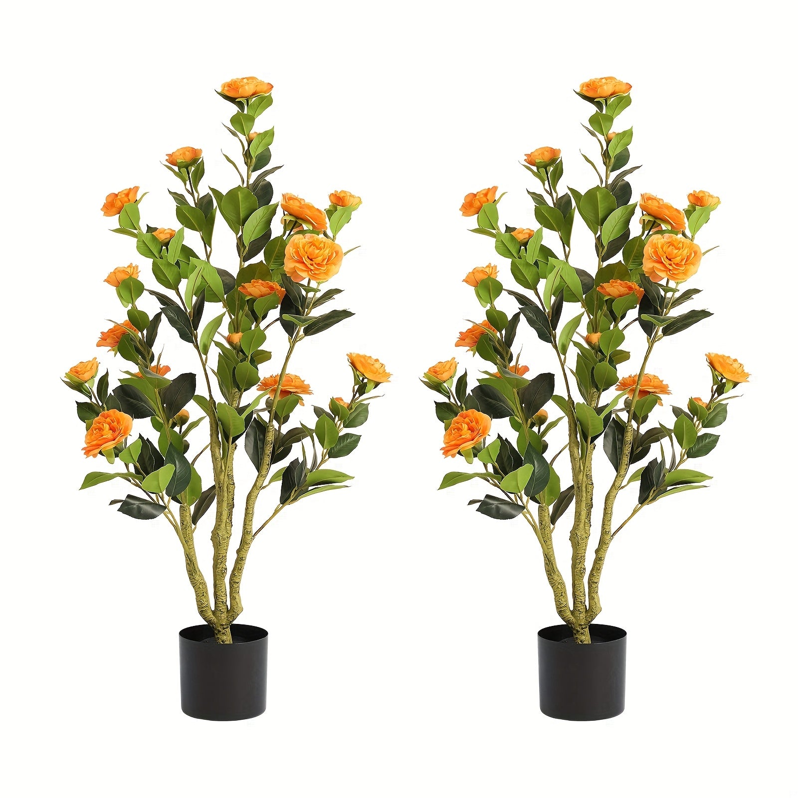 2-Pack White Camellia Trees 2-Pack 38\