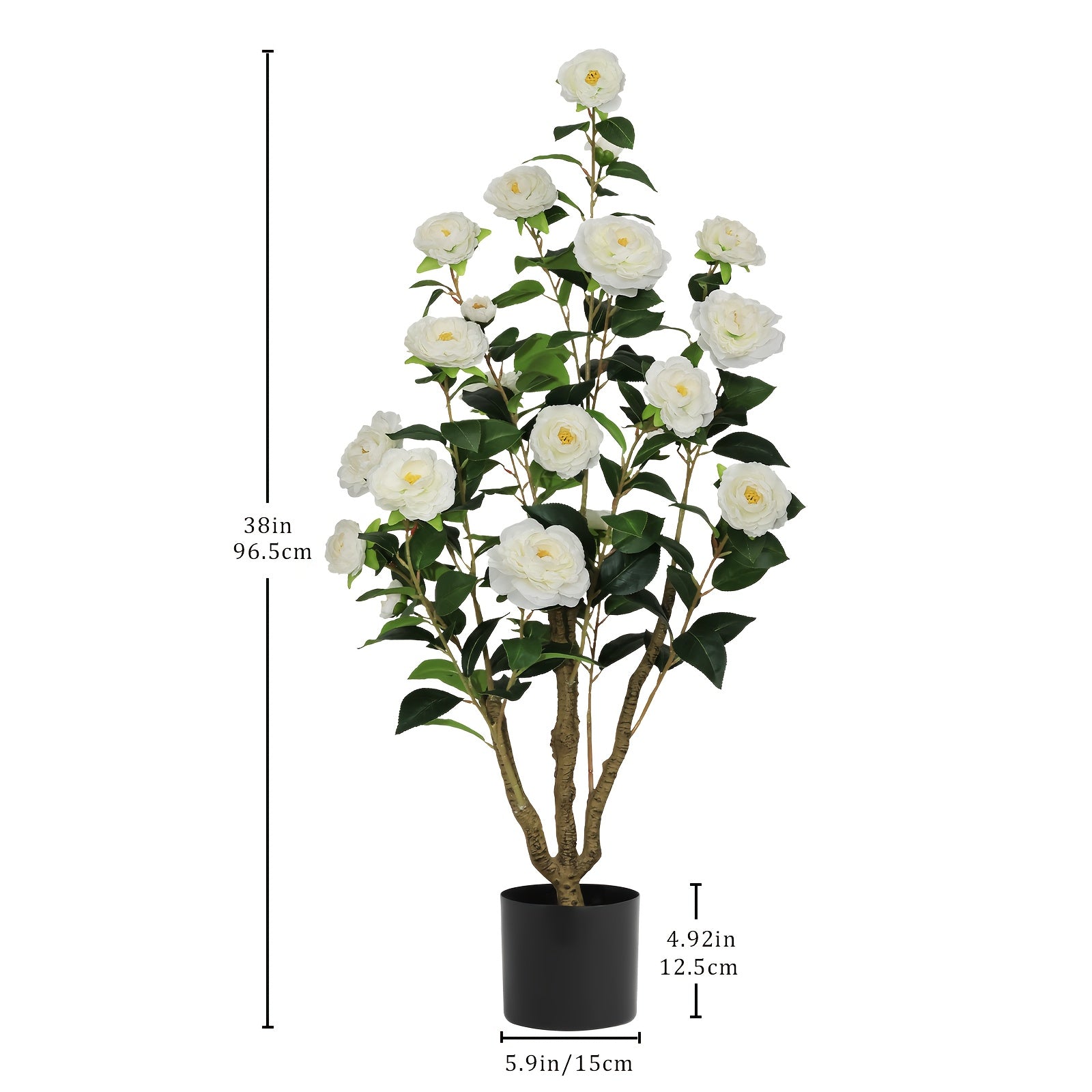 2-Pack White Camellia Trees 2-Pack 38\