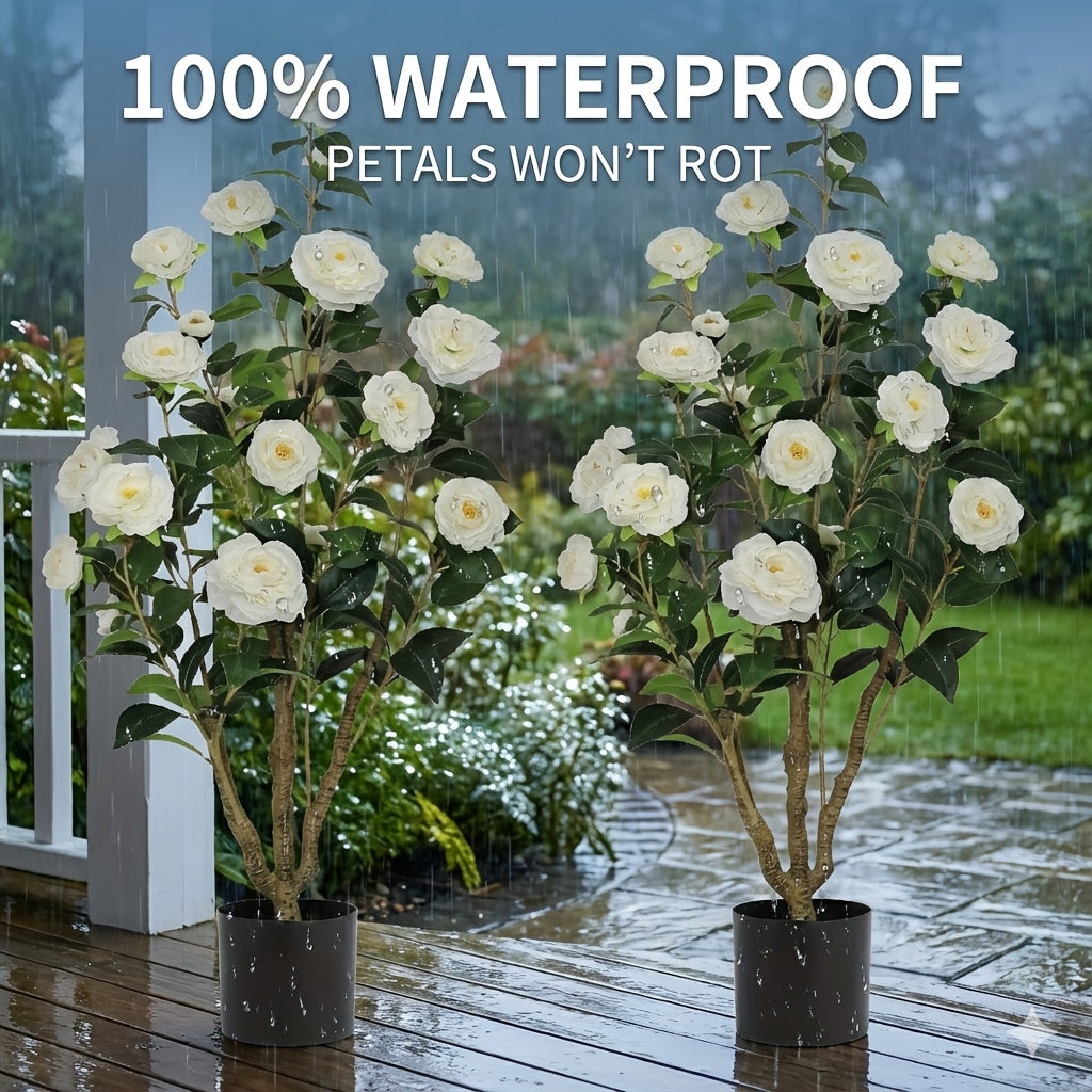 2-Pack White Camellia Trees 2-Pack 38\