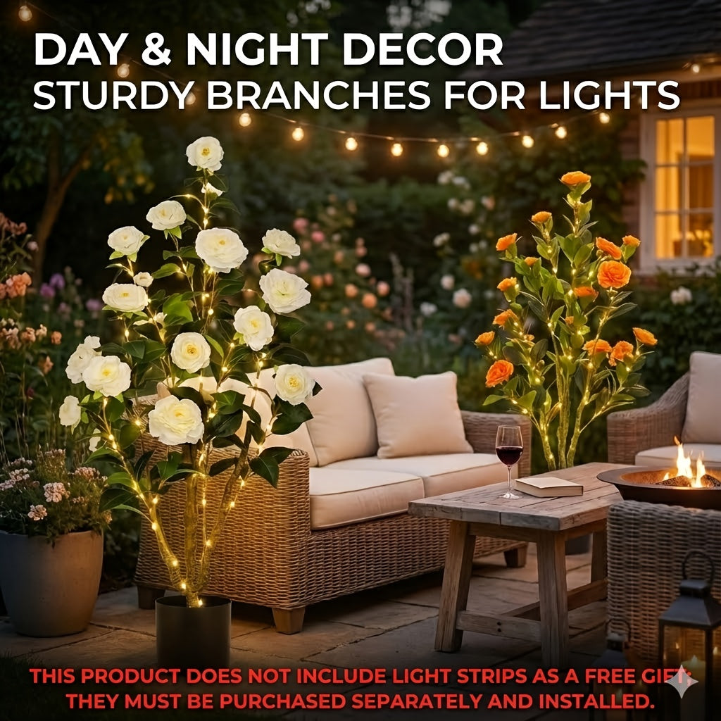 2-Pack White Camellia Trees 2-Pack 38\