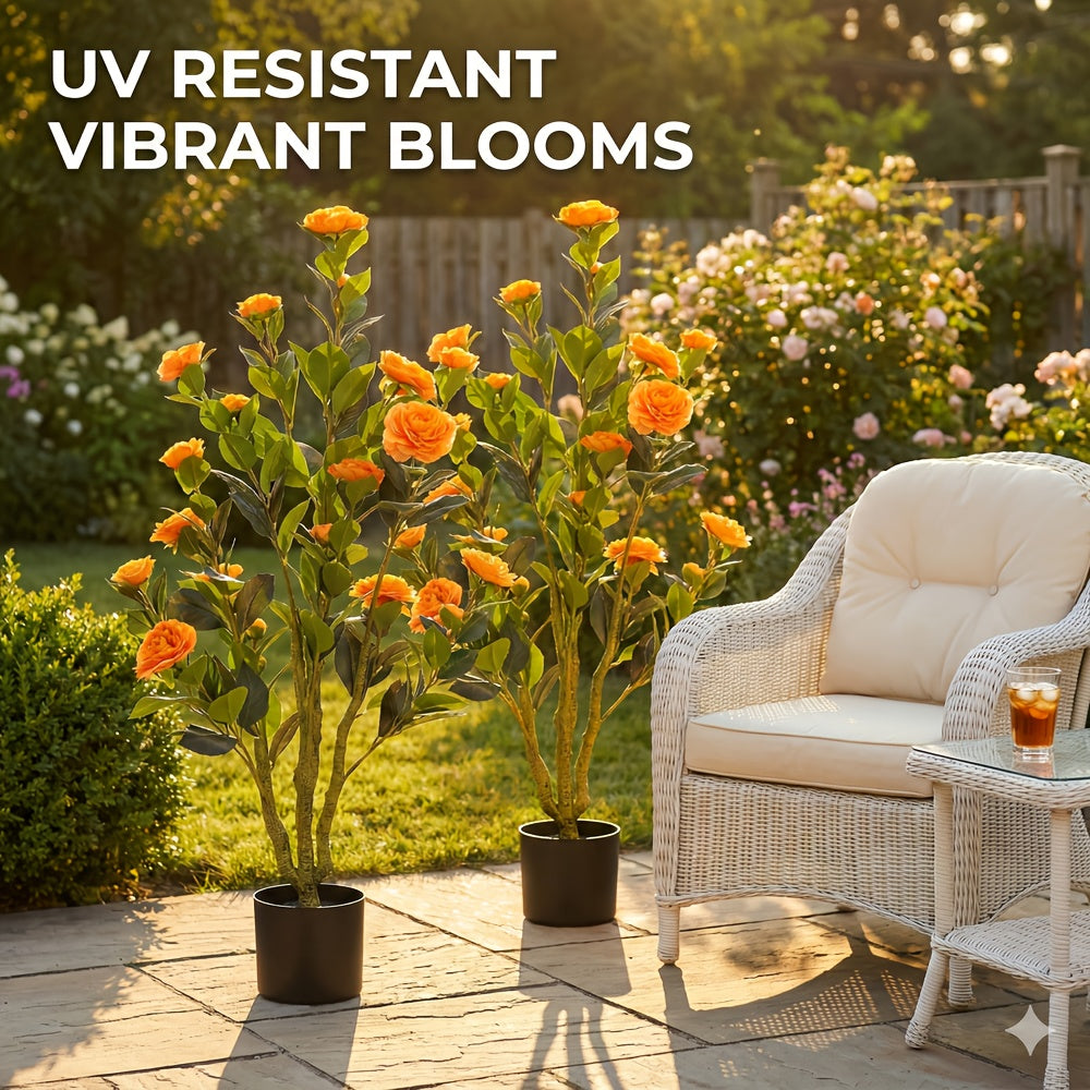 2-Pack White Camellia Trees 2-Pack 38\