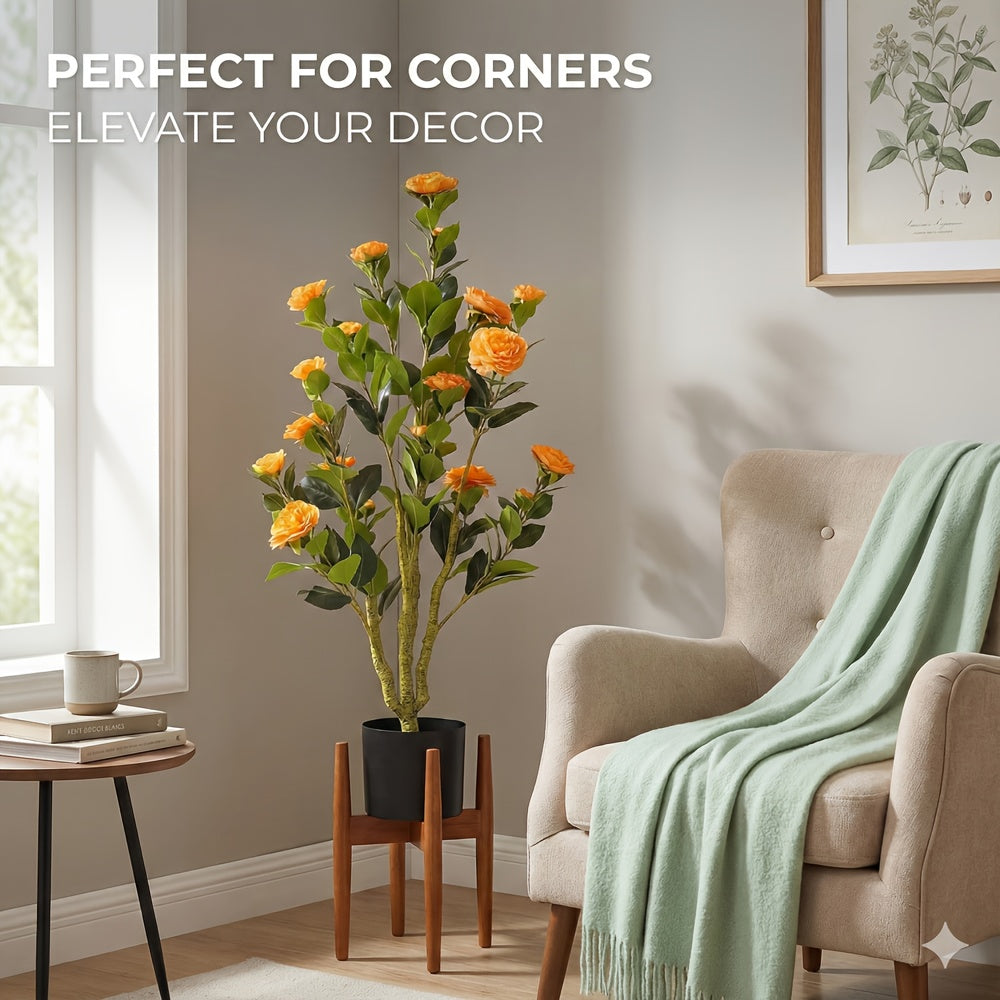 2-Pack White Camellia Trees 2-Pack 38\